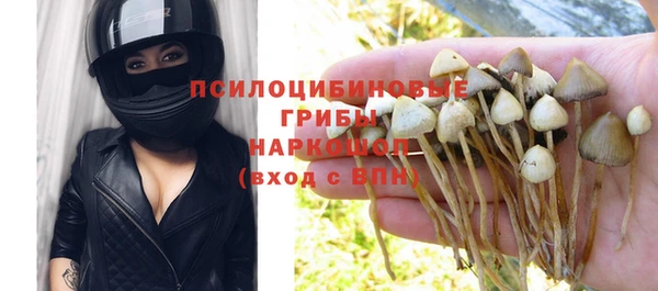 шишки Алексеевка