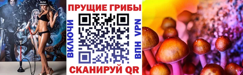 купить наркотики сайты  darknet формула  Псилоцибиновые грибы ЛСД  Туймазы 