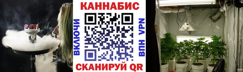 МАРИХУАНА семена  Туймазы 